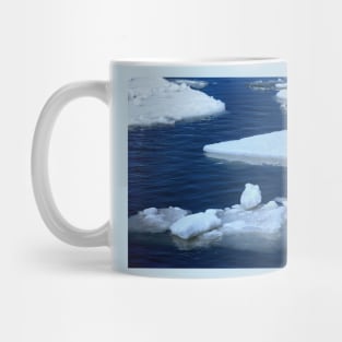 Ice Floes Mug